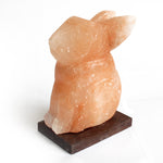 Lampe de sel animal - Lapin