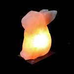 Lampe de sel animal - Lapin