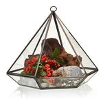 Terrarium en verre - Grand diamant