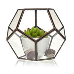 Terrarium en verre - Grand Octogone