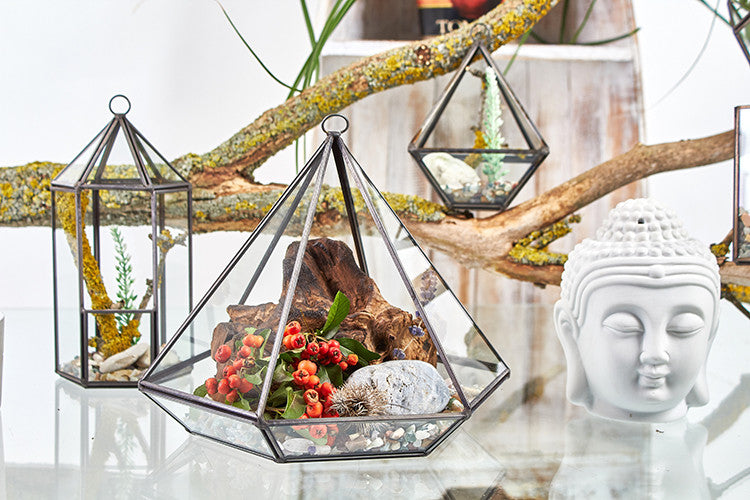 Terrarium en verre - en forme de lanterne