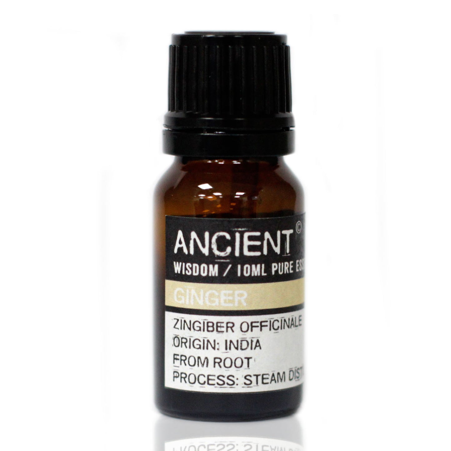 Gingembre - 10 ml