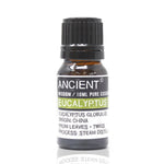 Eucalyptus - 10 ml