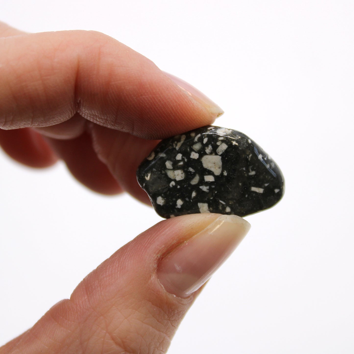 Small African pebbles - Guinea fowl