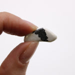 Small African Pebbles - White Howlite - Magnesite