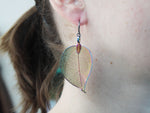 Boucles d'oreilles - Feuille de bravoure - Or